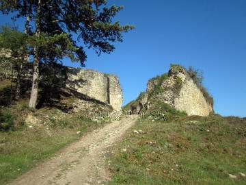 Hrad Divín