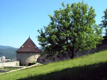 Trenčiansky hrad